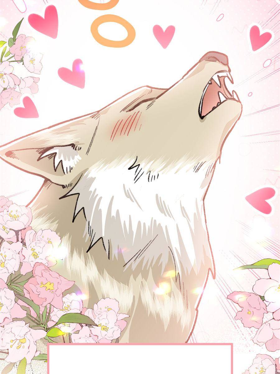 87485866 900 1200 114072